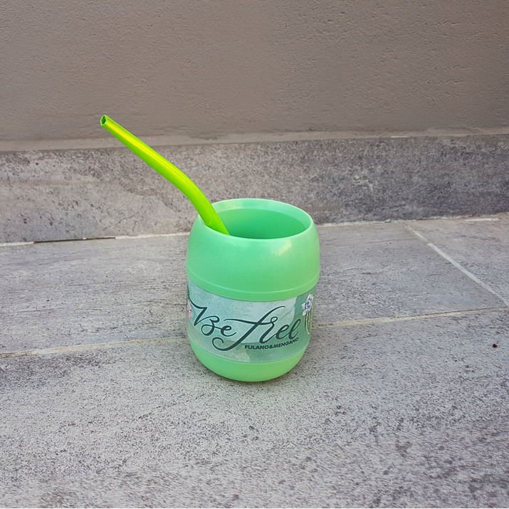 MATE CON BOMBILLA - CACTUS